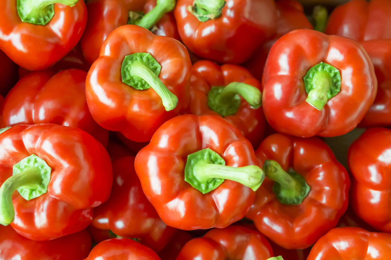 Paprika rood brunoise 10mm 1kg stuk 3